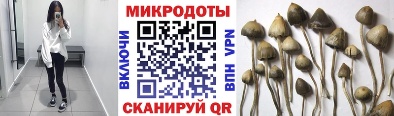 Псилоцибиновые грибы ЛСД  магазин продажи наркотиков  Асбест 