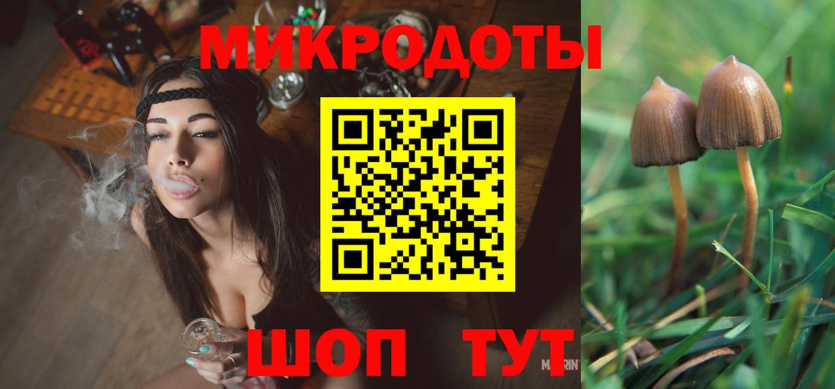 Галлюциногенные грибы Psilocybe Асбест